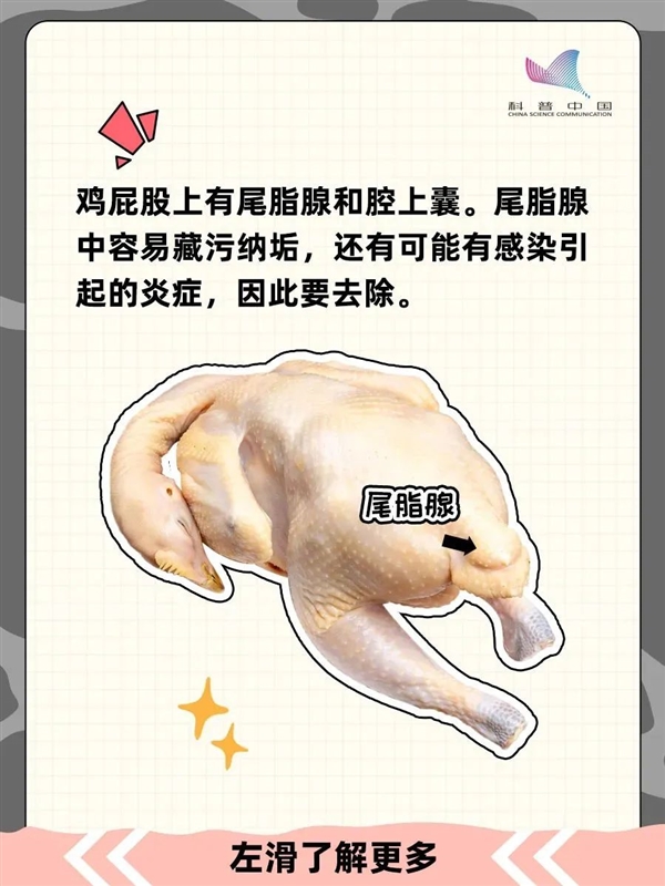 雞的這個部位 寧可扔掉也不要吃！