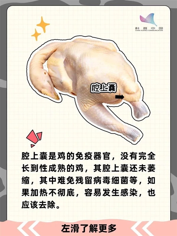 雞的這個部位 寧可扔掉也不要吃！