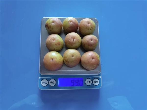 這種水果維生素C含量是橙子8倍！被譽(yù)為“竄稀神器”
