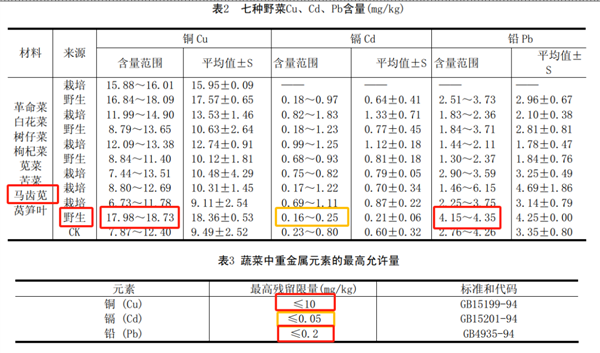 維生素C 16倍于西梅、蛋白質(zhì)7.7倍于冬瓜：這種“長壽菜”現(xiàn)在吃正好