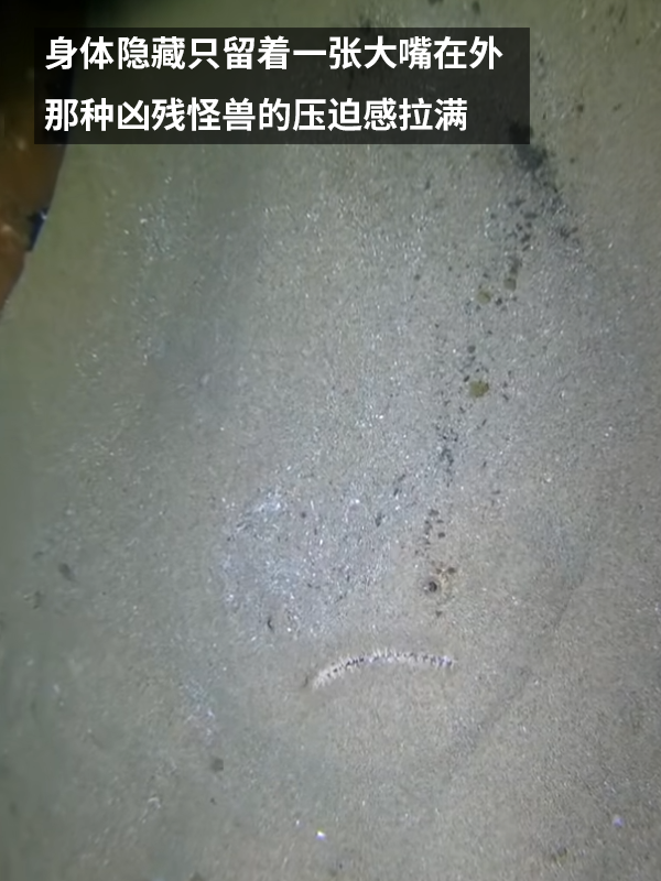 這種得像一道黑暗料理的魚：像極了上班時(shí)發(fā)呆的你