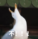 美女自拍時(shí)手機(jī)被鳥搶走！手機(jī)秒變飛機(jī)、還拍了視頻