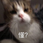 女孩聲稱自己16年不吃不喝 甚至連廁所都不用上！