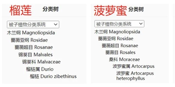 它的硒含量是蘋果41.7倍！可惜很多人都扔了