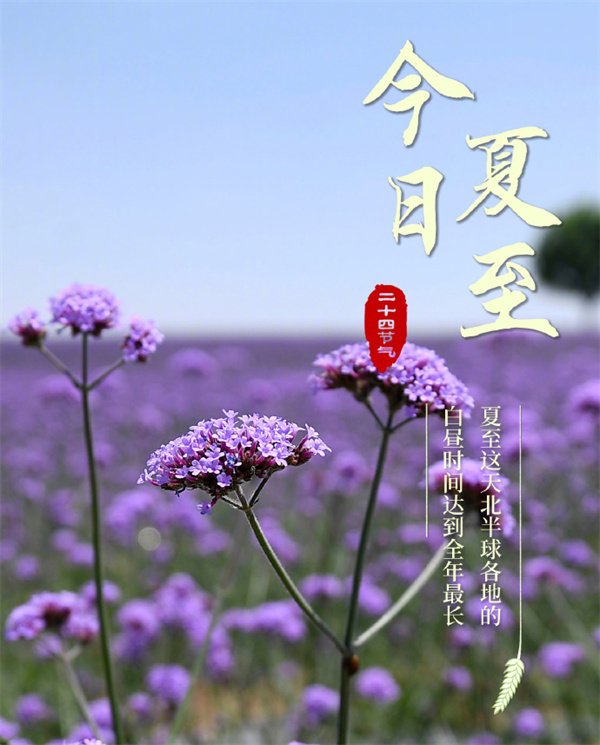 2024年6月21日4時(shí)51分夏至到來(lái)