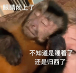印度老哥被當(dāng)成浮尸在水里漂了5個(gè)小時(shí) 撈起來后發(fā)現(xiàn)他...