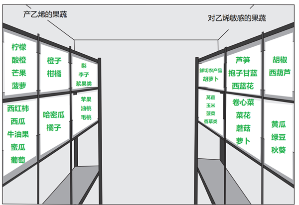 家人們 這兩類水果在冰箱里真的不要放一起！
