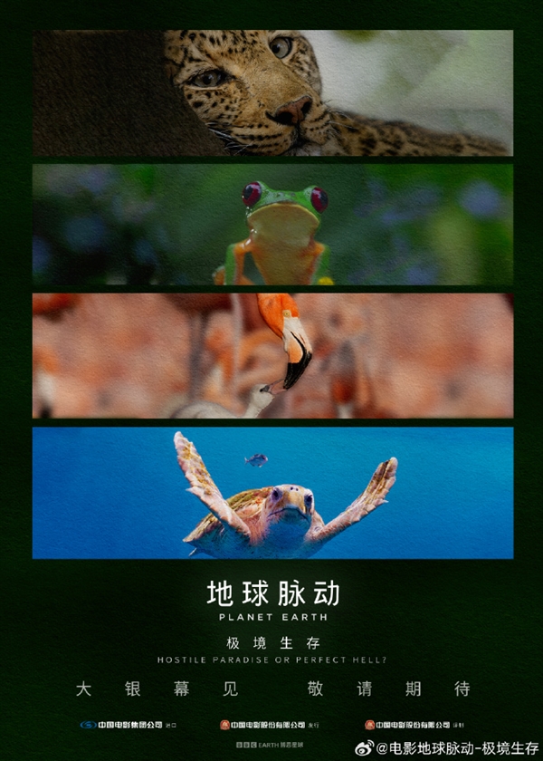 豆瓣9.7分紀(jì)錄片天花板！《地球脈動(dòng)》首部大電影國(guó)內(nèi)定檔7月27日：預(yù)告片發(fā)布