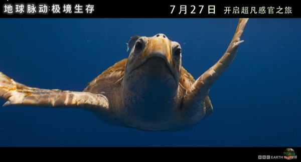 豆瓣9.7分紀(jì)錄片天花板！《地球脈動(dòng)》首部大電影國(guó)內(nèi)定檔7月27日：預(yù)告片發(fā)布