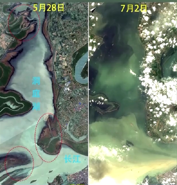 洞庭湖遭洪水涌入前后衛(wèi)星影像對(duì)比圖：大片草甸、陸地被完全淹沒