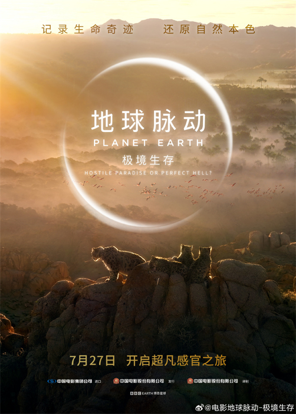 BBC《地球脈動(dòng)》電影內(nèi)地定檔 7 月 27 日