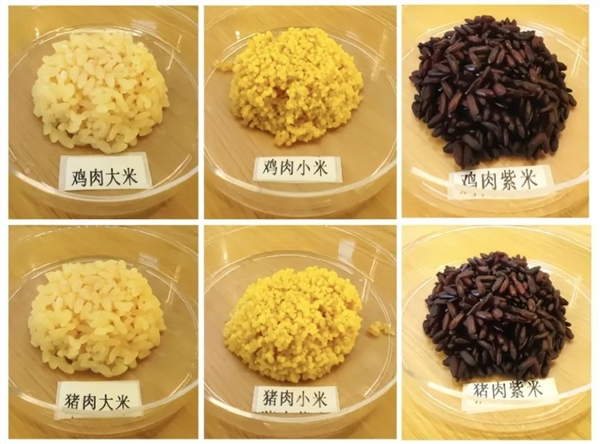 米肉合一！我國成功培育豬肉米和雞肉米 每顆米粒自帶肉香