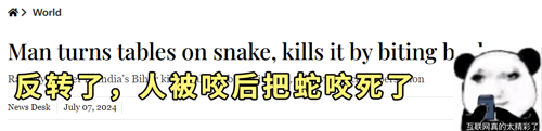 印度老哥被蛇咬后反將蛇咬死 穿反傷甲了