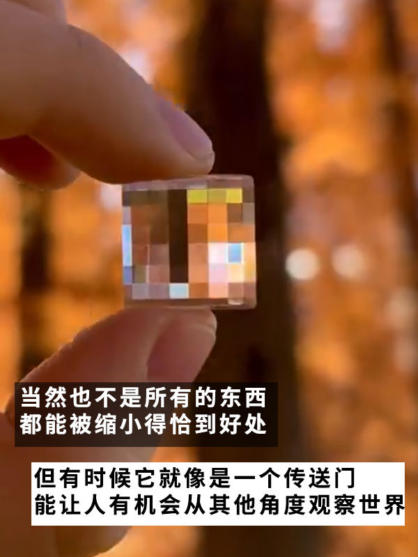 日本網(wǎng)友練成先天打碼圣體：能把世界統(tǒng)統(tǒng)變成像素風(fēng)