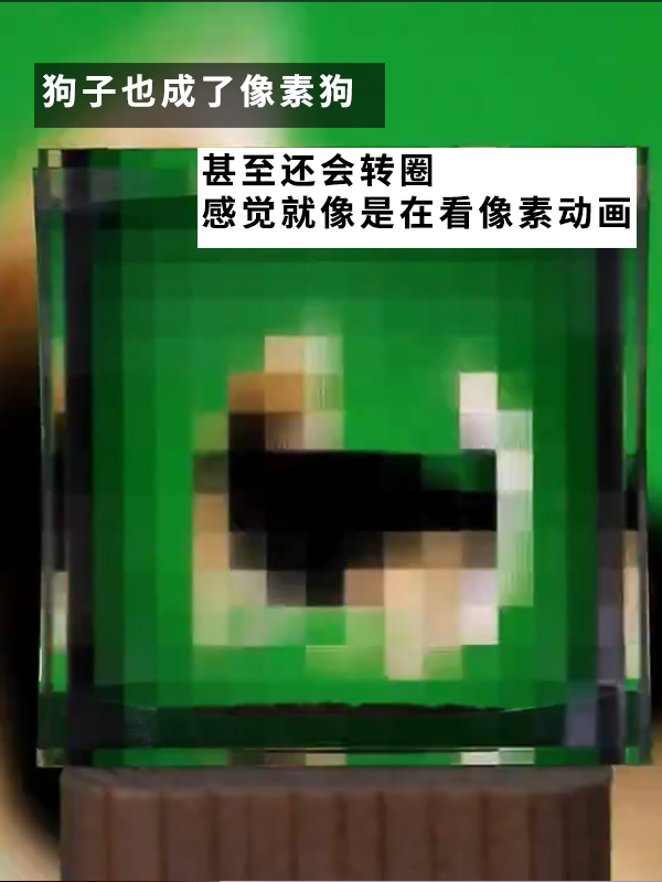日本網(wǎng)友練成先天打碼圣體：能把世界統(tǒng)統(tǒng)變成像素風(fēng)