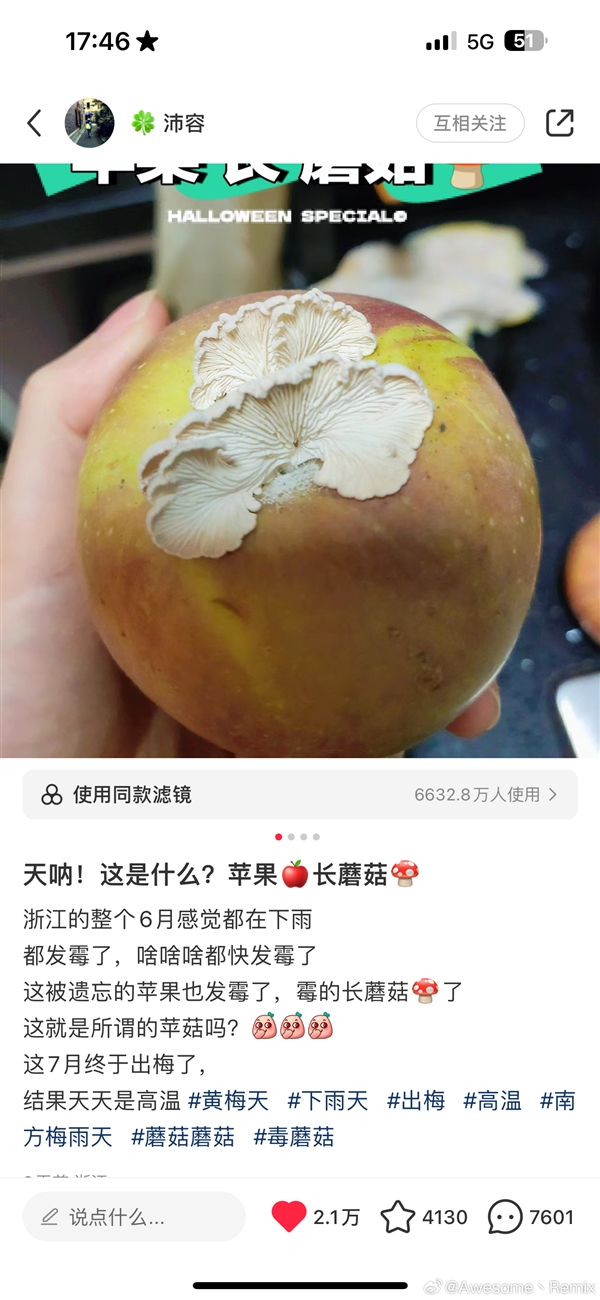 蘋(píng)果長(zhǎng)出大蘑菇 中科院專(zhuān)家千里求購(gòu)后匯報(bào)研究進(jìn)展：白參在腐爛處生長(zhǎng)