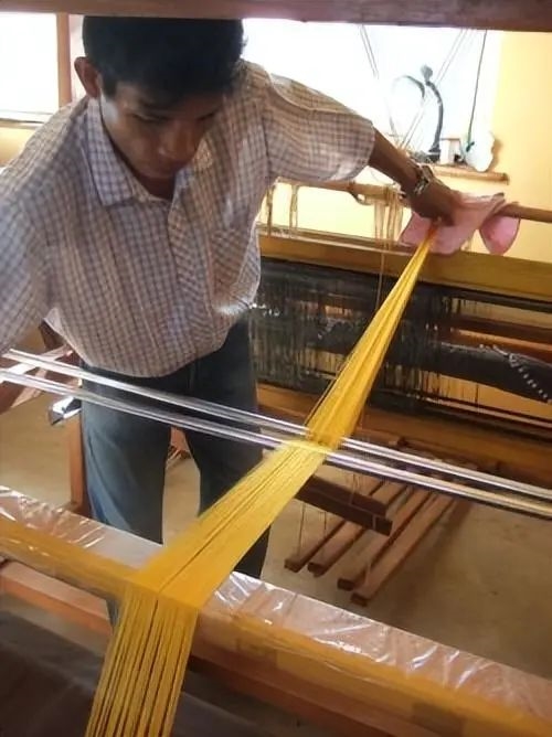 掏空120萬只蜘蛛才織出一件黃金斗篷 活蛛抽絲絲盡會(huì)死嗎？