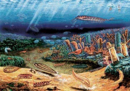 5.6-5.2億年前寒武紀(jì)生命大爆發(fā)：我國科學(xué)家有重大發(fā)現(xiàn)
