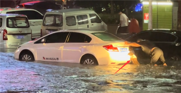 暴雨中馬路積水 狗幫忙推汽車引圍觀：為家付出太多