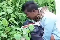 印度男子草叢如廁時遭蟒蛇襲擊：直接被纏住脖子