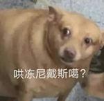 比巴黎奧運(yùn)會(huì)更懂松弛感的人出現(xiàn)了：一位俄羅斯特工！
