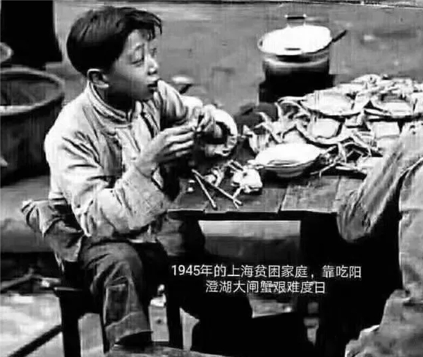 蝦為啥要長得這么適合被吃？內(nèi)臟都在頭上 腹部一大塊好肉