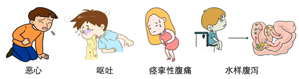 給顧客提前止瀉 廚師竟在菜里注射慶大霉素！危害太大了