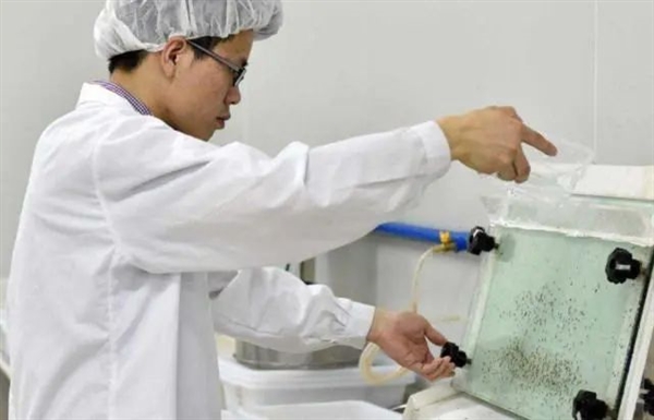 神奇的細菌：讓蚊子絕育 讓黃蜂變性！總算明白了