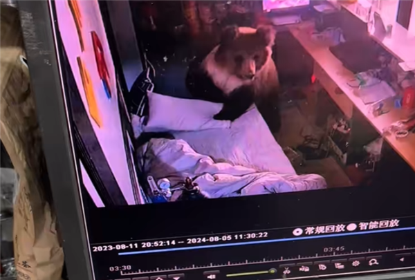 男子凌晨睜眼床邊站了一頭熊 逃跑不忘拿手機(jī) 網(wǎng)友：情緒穩(wěn)定
