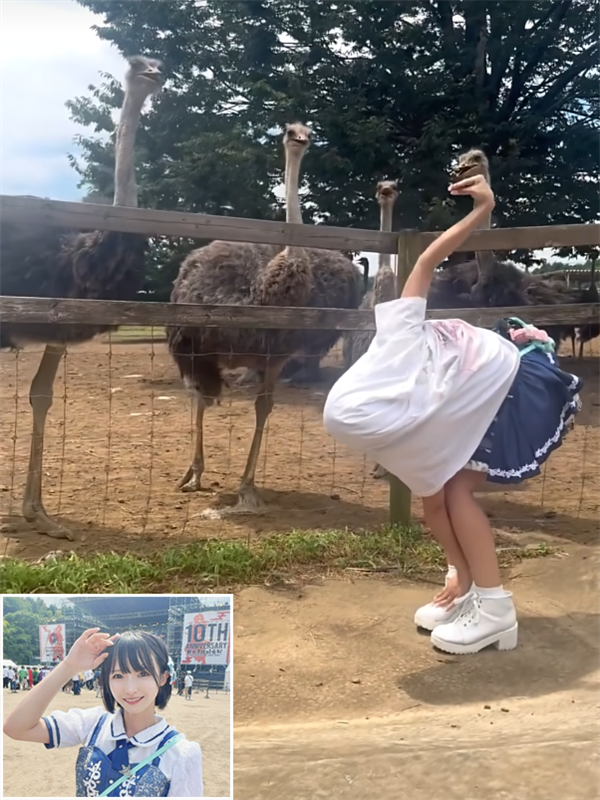 日本妹子cos鴕鳥爆火！現在又去模仿火烈鳥了
