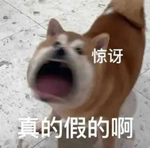 熬夜仙人？越南大姐30年不睡覺！但還有更夸張的...