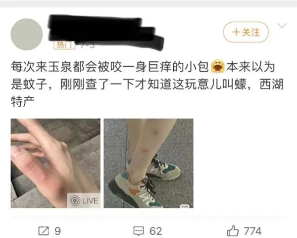 身上突然不明原因癢一下、又紅又腫：不是蚊子咬的