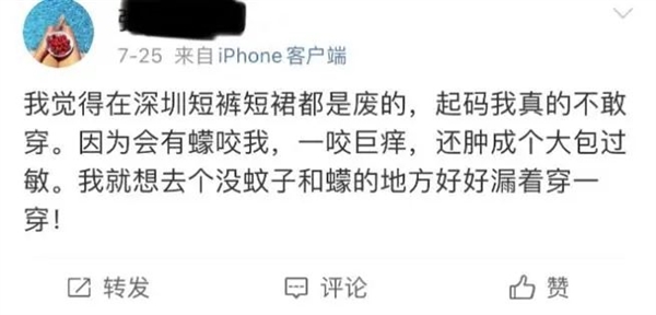 身上突然不明原因癢一下、又紅又腫：不是蚊子咬的
