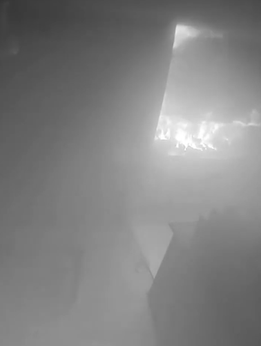狗子放火把家燒了！不看監(jiān)控屋主這輩子都找不到縱火犯