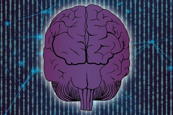 “換腦術”有望落地！美國聘請激進科學家研究更換大腦戰(zhàn)勝衰老