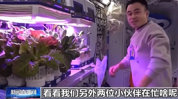 能讓宇航員在天上蹲兩年半的 到底是啥樣的日子？