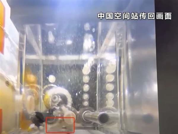 能讓宇航員在天上蹲兩年半的 到底是啥樣的日子？