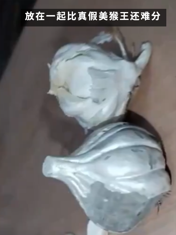 印度大姐買(mǎi)到水泥做的假大蒜！這也太逼真了