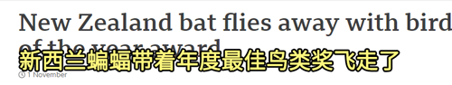 美國選出一匹馬當(dāng)鎮(zhèn)長！上一任是只狗、再往前是貓