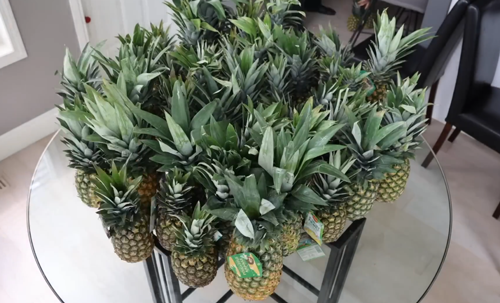 網(wǎng)紅小哥用菠蘿皮打造防火鎧甲：效果出奇的好！