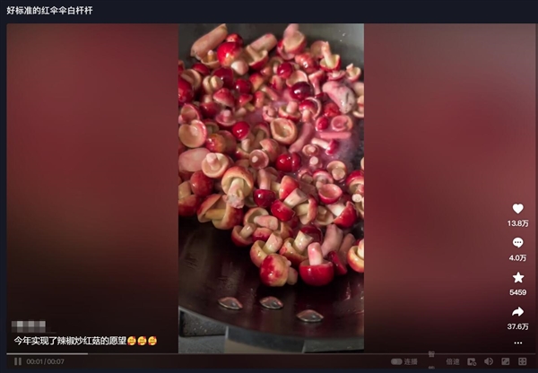 女子曬炒蘑菇視頻嚇壞網(wǎng)友 當(dāng)事人：沒毒