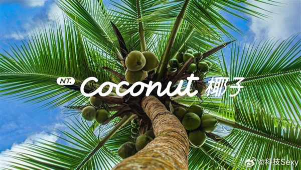 樂道L60首發(fā)NT.Coconut椰子樂道智能系統(tǒng)：9月19日上市