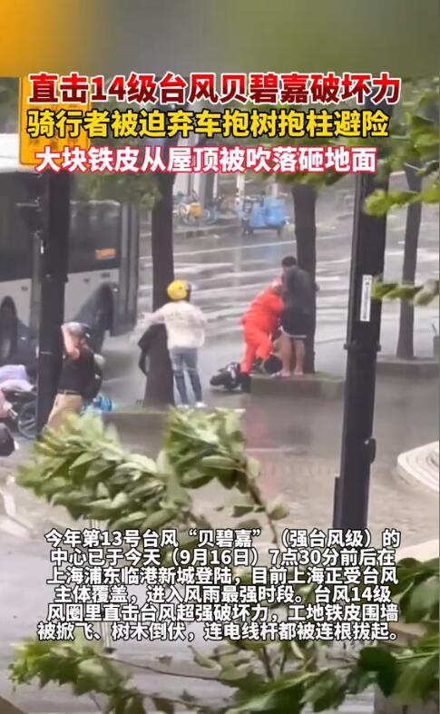 臺(tái)風(fēng)侵襲 騎車人被迫棄車抱樹