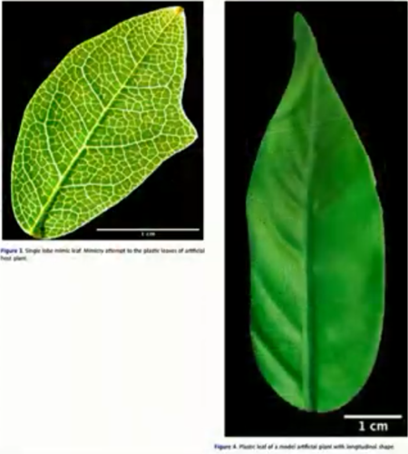靠研究用肛門(mén)呼吸 賺了10萬(wàn)億獎(jiǎng)金