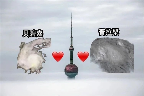 “邪門”的彼岸花！竟專挑臺(tái)風(fēng)期開放：很多人見過卻不知道