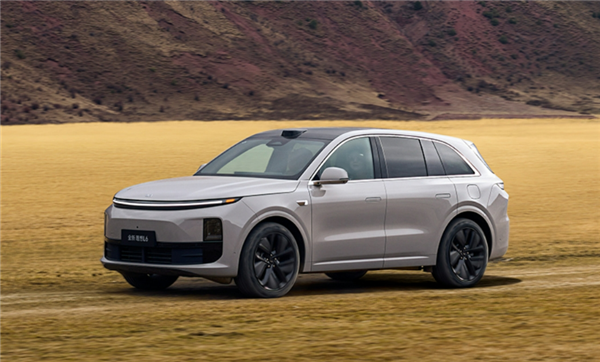 車主曝路遇路霸搶劫 理想L6記錄儀立大功！抓了一車人
