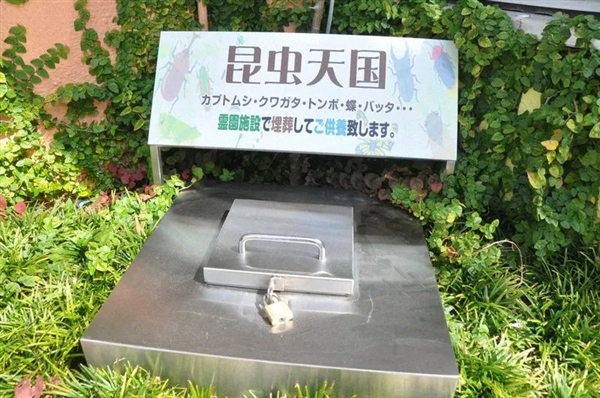 美國夫妻的另類寵物葬禮：一只做骨架 一只花1萬美元做標(biāo)本