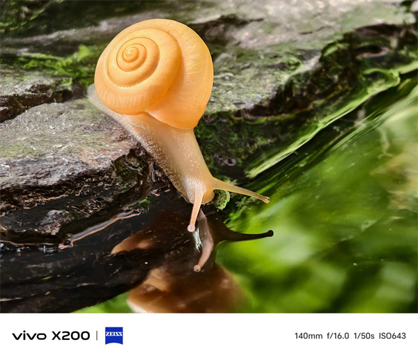 vivo X200 系列手機(jī)影像相關(guān)細(xì)節(jié)大量公開