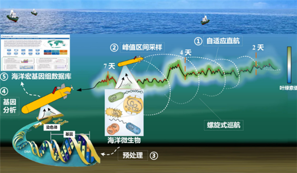 我國(guó)首臺(tái)！深海微生物原位采樣自主水下航行器研制成功