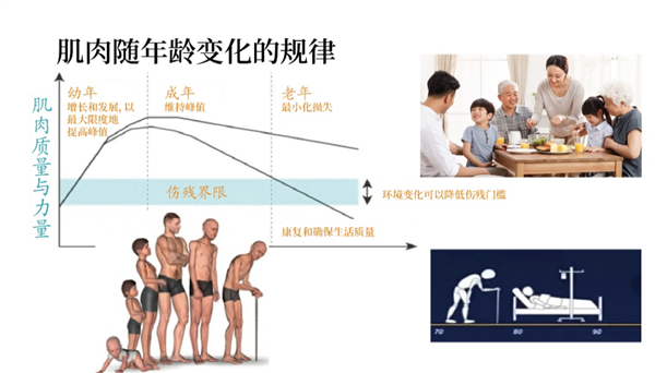 過了這個年紀 肌肉會快速流失！直到跌倒、骨折、不能自理